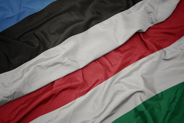 Színes Zászlót Lobogtatva Magyarország Észtország Nemzeti Zászlajával Makroszintű — Stock Fotó