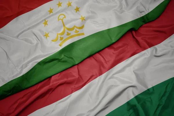 Tacikistan Bayrağının Rengarenk Bayrağını Sallıyordu Makro — Stok fotoğraf