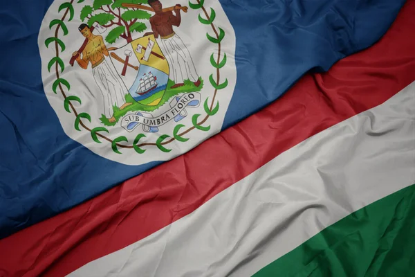 Asgari Ulusal Belize Bayrağının Renkli Bayrağını Sallıyordu Makro — Stok fotoğraf