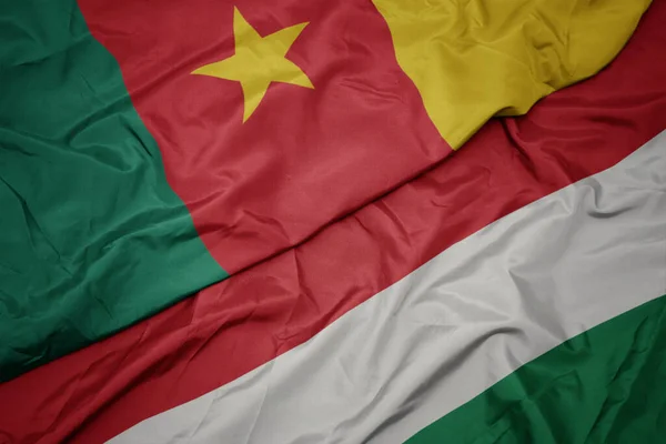 Kamerun Bayrağının Rengarenk Bayrağını Sallıyordu Makro — Stok fotoğraf