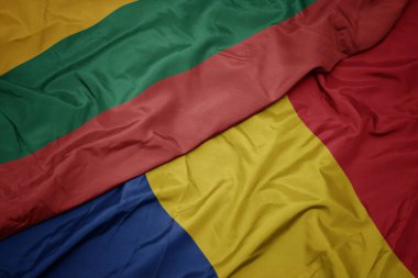 Elinde renkli Romanya bayrağı ve Litvanya bayrağı sallıyordu. makro