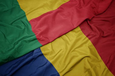 Romanya 'nın renkli bayrağı ve Benin' in ulusal bayrağını sallıyordu. makro