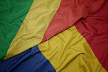 Elinde renkli Romanya bayrağı ve Kongo Cumhuriyeti bayrağı sallıyordu. makro