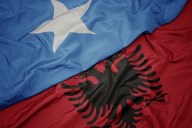Albania 'nın renkli bayrağını ve Somali' nin ulusal bayrağını sallıyordu. makro