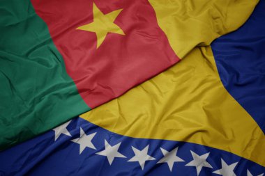 Bosna ve Herzegovina 'nın renkli bayrağını sallıyor ve kamerun bayrağını sallıyor. makro