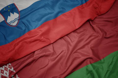 Belarus 'un renkli bayrağını ve Slovenia' nın ulusal bayrağını sallıyordu. makro