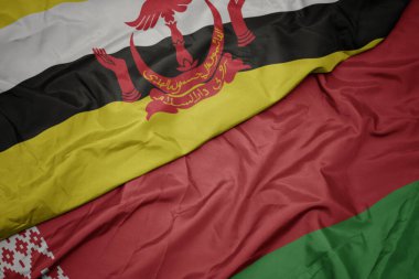 Beyaz Rusya bayrağı ve ulusal esmer bayrağı sallıyordu. makro