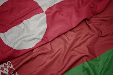 Beyaz Rusya 'nın renkli bayrağını sallıyor ve ulusal yeşillik bayrağını taşıyor. makro