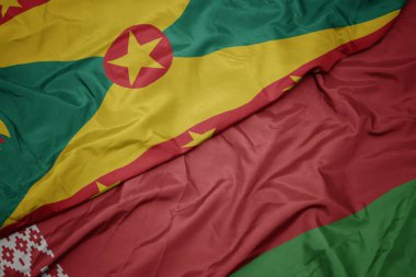 Beyaz Rusya bayrağı ve ulusal el bombası bayrağı sallıyordu. makro