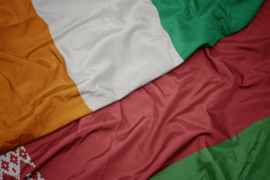 Beyaz Rusya 'nın renkli bayrağı ve Cote Divoire' ın ulusal bayrağı sallanıyor. makro