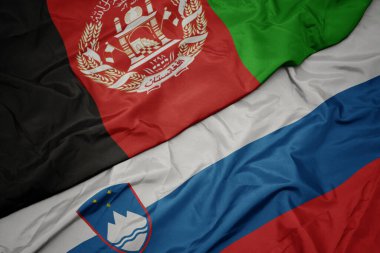 Slovenia 'nın renkli bayrağı ve Afganistan' ın ulusal bayrağı sallanıyor. makro