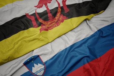 Slovenia 'nın renkli bayrağı ve brunei' nin ulusal bayrağı sallanıyor. makro
