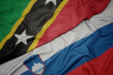 Slovenia 'nın renkli bayrağını sallayarak ve ulusal Aziz Kitts ve Nevis bayrağını sallayarak. makro