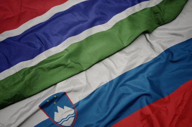 Slovenia 'nın renkli bayrağı ve ulusal gambiya bayrağı sallıyordu. makro