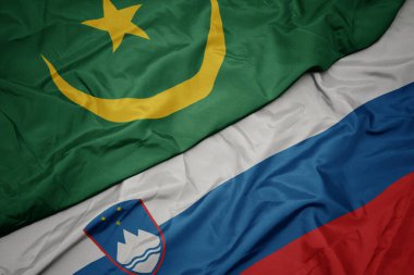 Slovenia 'nın renkli bayrağı ve Mauritania' nın ulusal bayrağı sallanıyor. makro