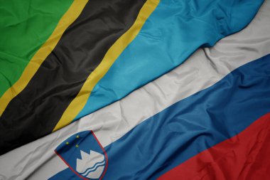 Slovenia 'nın renkli bayrağı ve Tanzanya' nın ulusal bayrağı sallanıyor. makro