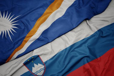 Mareşal Adaları 'nın renkli bayrağını ve ulusal bayrağını sallıyordu. makro