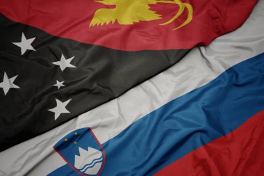 Slovenia 'nın renkli bayrağı ve Papua Yeni Gine' nin ulusal bayrağı sallanıyor. makro