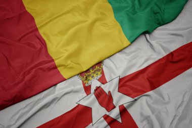 Kuzey İrlanda 'nın renkli bayrağını ve Gine' nin ulusal bayrağını sallıyordu. makro