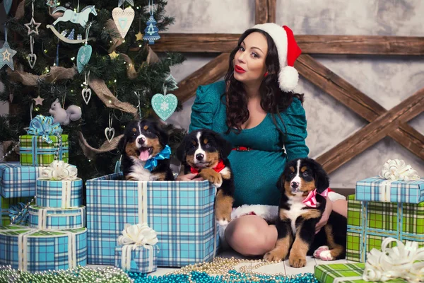 Donna incinta in tuta con un cane pin-up vicino all'albero di Natale . — Foto Stock