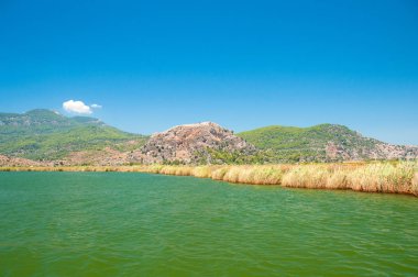 Turist ile Dalyan nehir tekne nehir straits