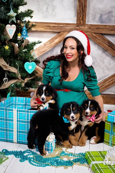 Donna incinta in tuta con un cane pin-up vicino all'albero di Natale — Foto Stock