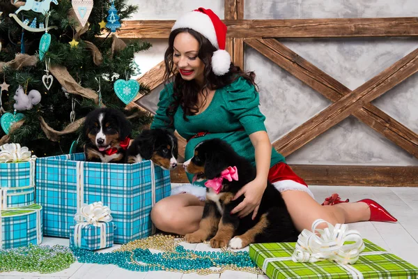 Mujer embarazada en traje con un perro pin-up cerca del árbol de Navidad —  Fotos de Stock