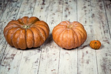 Gri bir ahşap zemin üzerinde üç kabak.