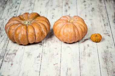 Gri bir ahşap zemin üzerinde üç kabak.