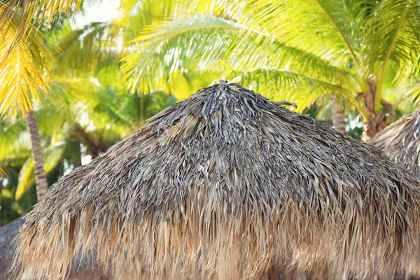 Tropické pláže útulku střechy a palm strom v horkém slunci. — Stock fotografie