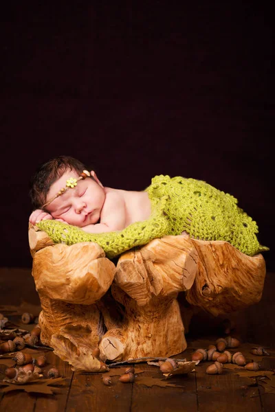 Um bebê recém-nascido bonito em uma grinalda de cones e bagas dorme em um toco . — Fotografia de Stock