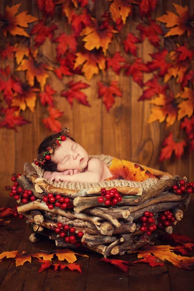 เด็กทารกแรกเกิดที่น่ารักในพวงหรีดของก้อนและเบอร์รี่ในตะกร้าที่มีใบไม้ร่วง — ภาพถ่ายสต็อก