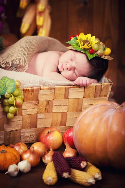 A cute newborn in a wreath of berries and fruits sleeps in a basket. Autumn harvest. — Stock Photo, Image