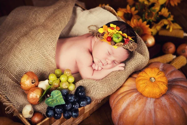 Um recém-nascido bonito em uma grinalda de frutas e bagas dorme em uma cesta. Colheita de outono . — Fotografia de Stock