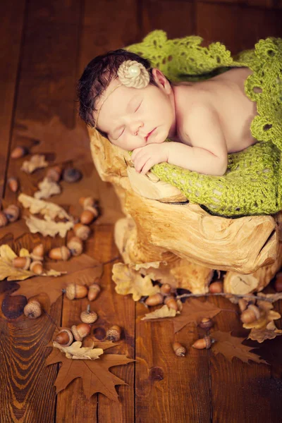 Um bebê recém-nascido bonito em uma grinalda de cones e bagas dorme em um toco . — Fotografia de Stock