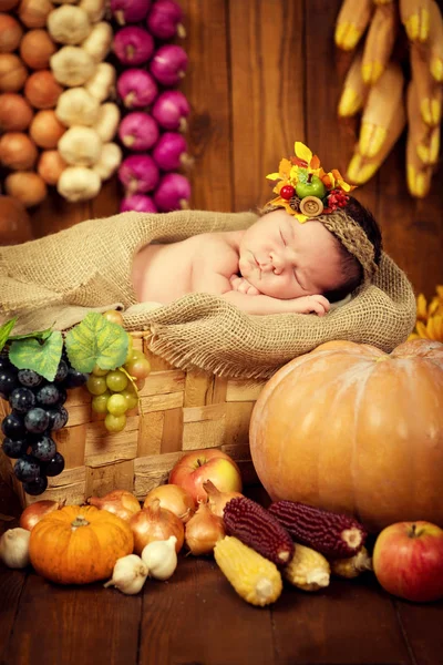 Um recém-nascido bonito em uma grinalda de frutas e bagas dorme em uma cesta. Colheita de outono . — Fotografia de Stock