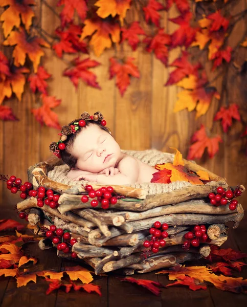 Симпатичний новонароджений в вінку з шишок і ягід в дерев'яному гнізді з осіннім листям . — стокове фото