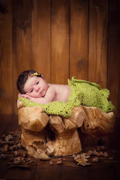 Il bimbo neonato carino in una ghirlanda di coni e bacche si trova su un troncone . — Foto Stock
