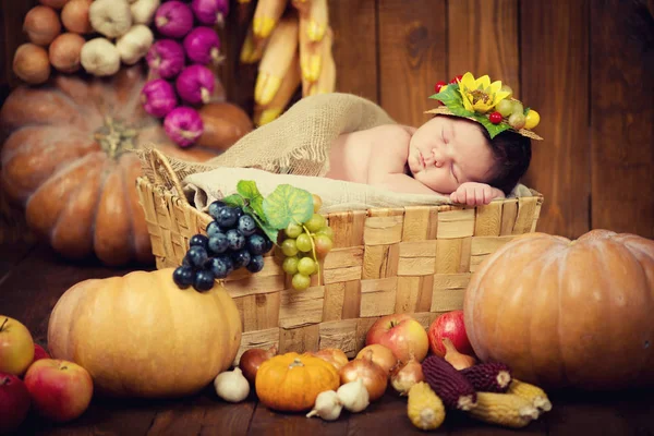 Um recém-nascido bonito em uma grinalda de frutas e bagas dorme em uma cesta. Colheita de outono . — Fotografia de Stock