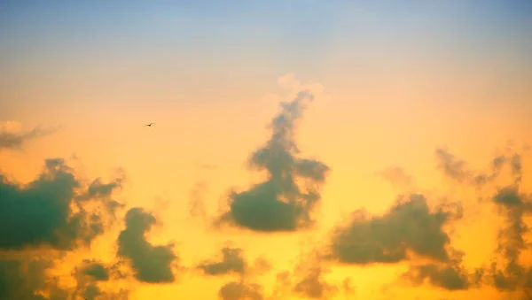 Hermosas nubes en un cielo azul, vista superior . —  Fotos de Stock