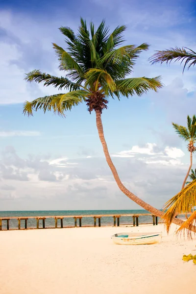 Beach with pier and palm trees on the Atlantic coast. — Stock Photo, Image