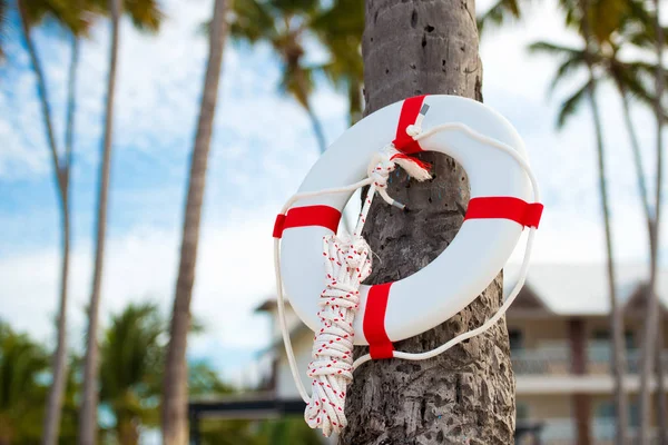 Bouée de sauvetage suspendue à un palmier sur le fond de la mer . — Photo