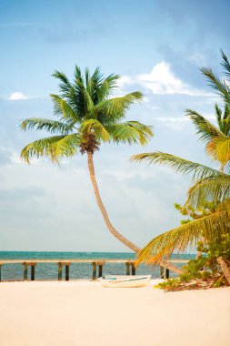 Beach Atlantik kıyısında iskele ve palmiye ağaçları ile.