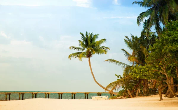 Beach with pier and palm trees on the Atlantic coast. — Stock Photo, Image