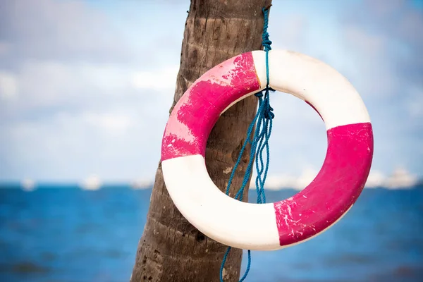 Rettungsring hängt an einer Palme im Hintergrund des Meeres. — Stockfoto