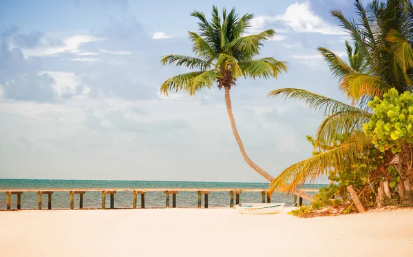 Beach Atlantik kıyısında iskele ve palmiye ağaçları ile.