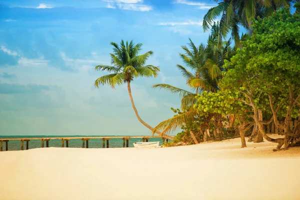 Playa con muelle y palmeras en la costa atlántica . — Foto de Stock