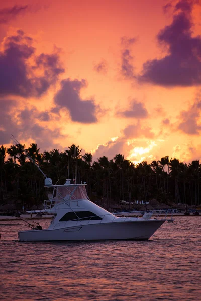 A naplemente a tengeren, ellen, a sky, a pálmafák, a felhők és a nap jacht — Stock Fotó