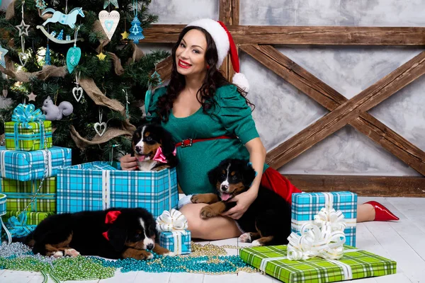 Mujer embarazada en traje con un perro pin-up cerca del árbol de Navidad — Foto de Stock