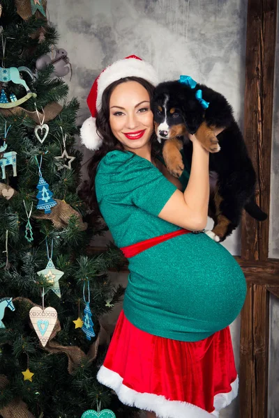 Donna incinta in tuta con un cane pin-up vicino all'albero di Natale — Foto Stock